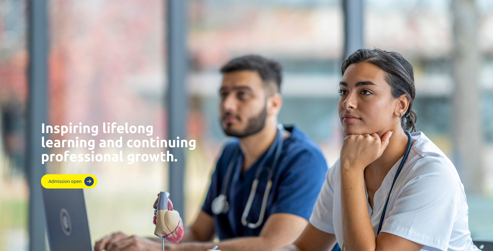 Excellence in Nursing Education